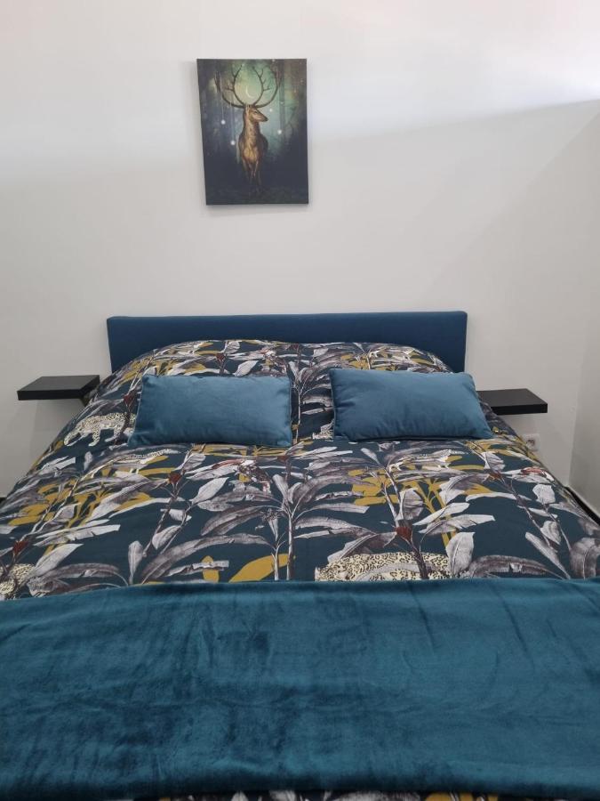 Les Mirabelles Apartman Metz Kültér fotó